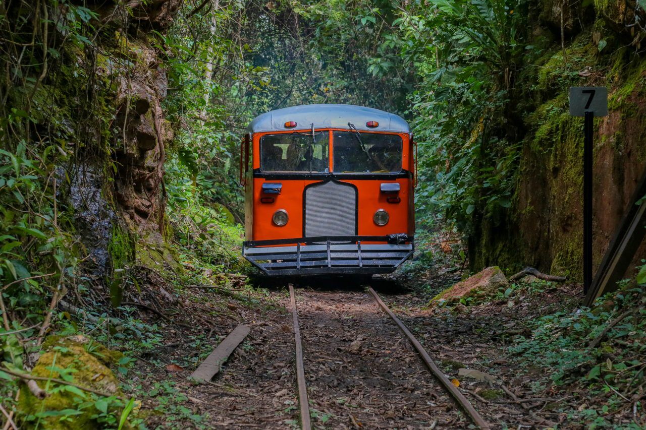 INDÚSTRIA SEM FUMAÇA - Inscrições gratuitas para Expoturismo Rondônia 2025 abrem porta para visitantes e empreendedores; veja imagens