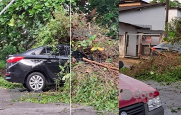 DANOS NA CIDADE - Temporal surpreende Porto Velho com ventos fortes e deixa rastro de destruição 
