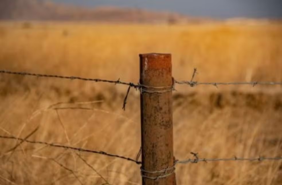 IRREGULAR - Justiça determina desocupação de fazenda e destina área à reforma agrária em RO
