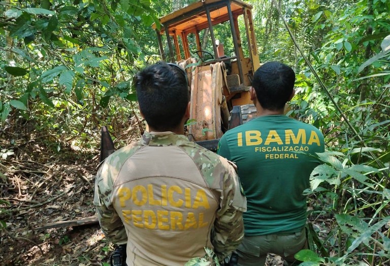 PF desmantela serrarias clandestinas em Terra Indígena de Rondônia 
