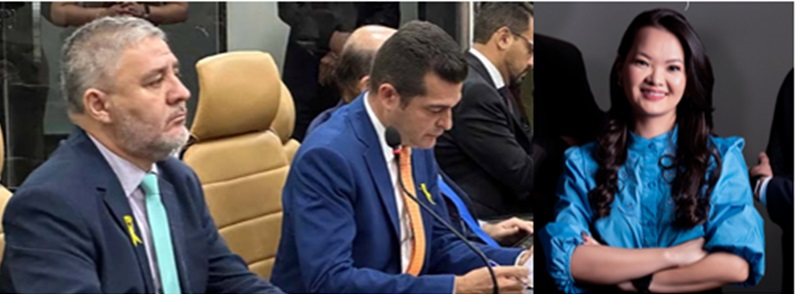 Advogada do PSB abandona processo e toca fogo na política que pode alterar a Câmara
