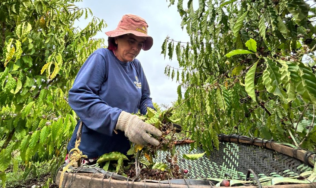 Mulheres que cultivam o futuro: a força feminina no campo de Porto Velho

