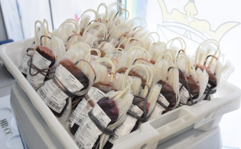 Alta Floresta d’Oeste e Porto Velho registram mais de 240 bolsas de sangue coletadas em ações da Fhemeron
