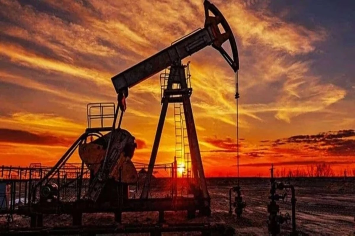 Ibama libera Petrobras a pesquisar petróleo na Foz do Amazonas