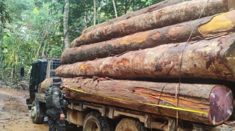 Combate ao desmatamento ilegal e à exploração irregular de recursos florestais, flagra criminosos