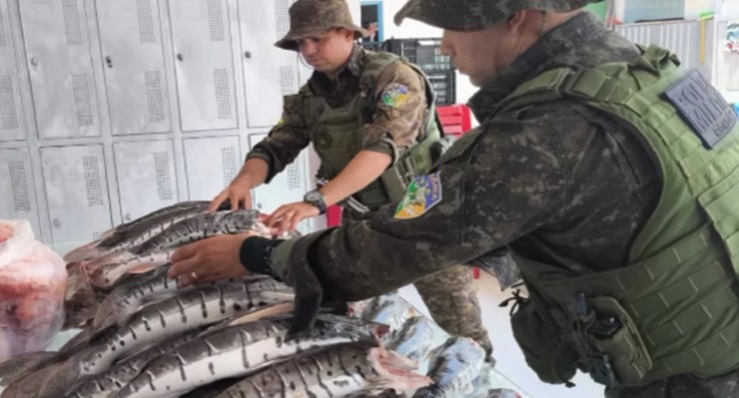 Polícia Ambiental apreende mais de 200 quilos de pescado ilegal durante operação em Porto Velho