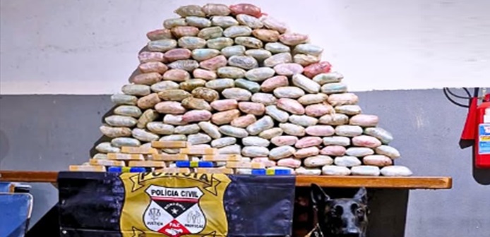 PC apreende grande quantidade de drogas e armas de fogo em Porto Velho