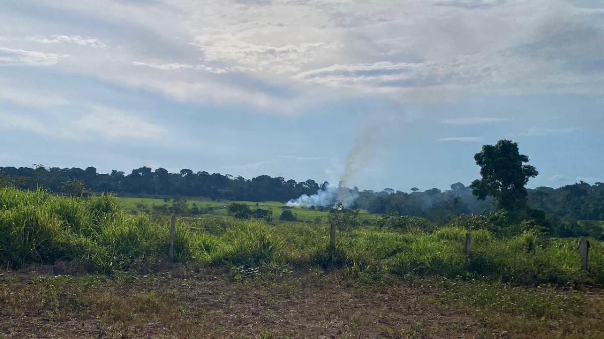 TRF mantém posse de famílias e suspende ordens de desocupação da FUNAI em Rondônia