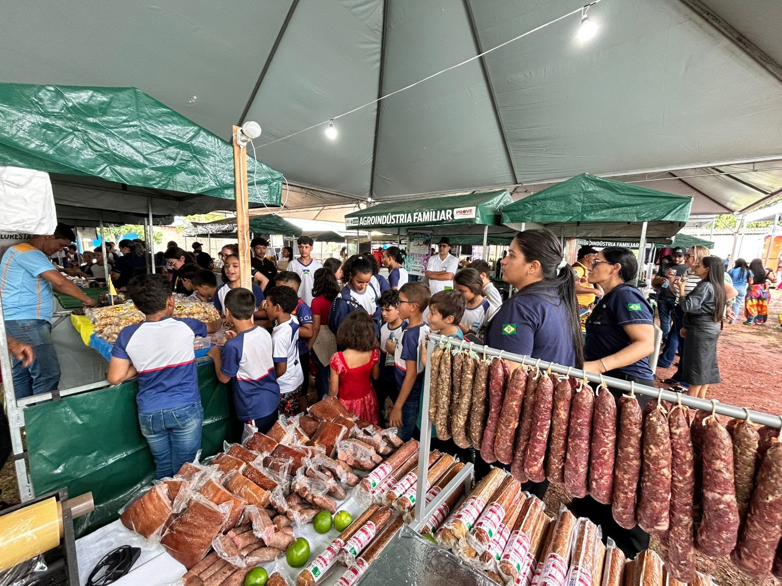 Agrotec conecta tecnologia e agricultura familiar em Porto Velho