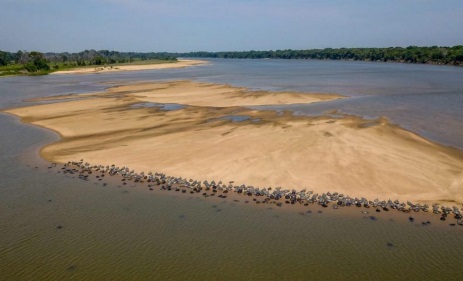 Cheia histórica do Rio Guaporé desafia desova das tartarugas e acende alerta ambiental em Rondônia