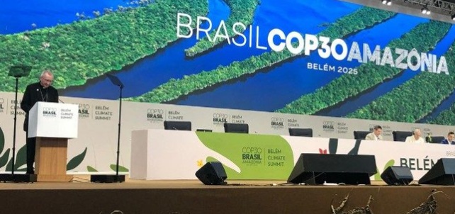 “Se vocês querem cultivar a paz, cuidem da Criação”