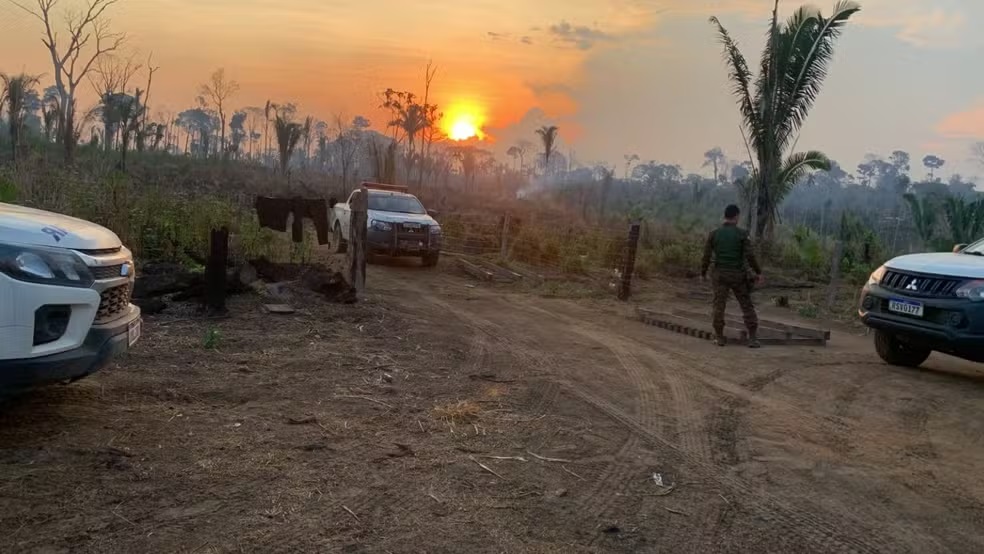 Seis pessoas são presas durante operação contra crimes ambientais em RO