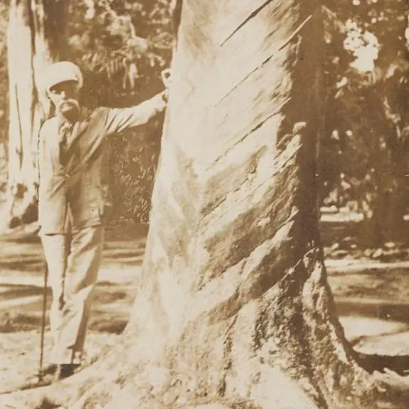 A CIDADE DA COP30 - O 'roubo', e suas lições, que mudou a história de Belém e do próprio Estado do Pará
