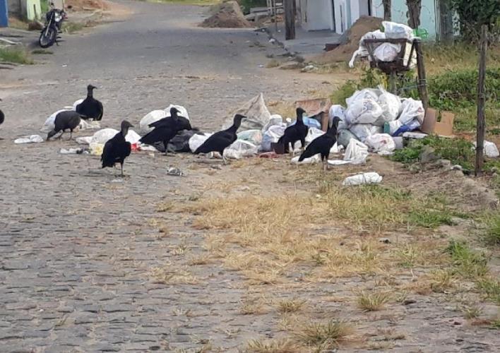 Veja a crise do lixo em Porto Velho, a situação de caos e a revolta das pessoas