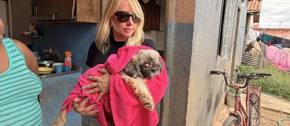 Deputada Ieda Chaves resgata filhote ferido e garante tratamento