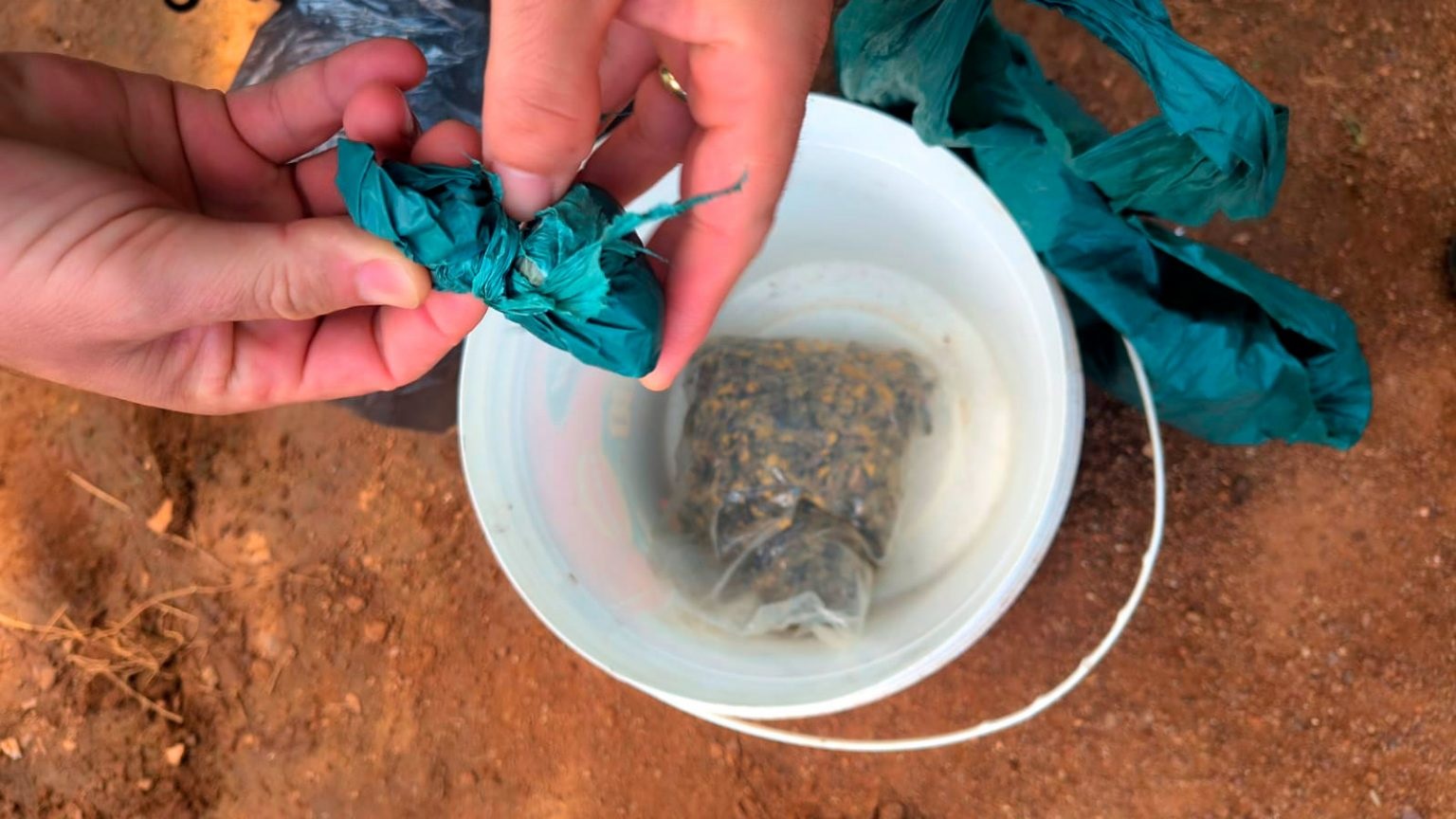 Polícia Militar apreende drogas e prende suspeito de traficar drogas em Ouro Preto do Oeste