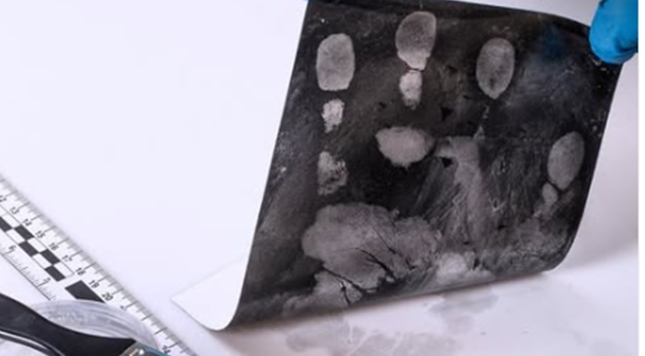 TECNOLOGIA CRIMINAL - PC identifica ossada humana em Porto Velho através de técnicas avançadas de investigação
