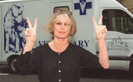 Atriz Brigitte Bardot volta a ser internada dias após receber alta