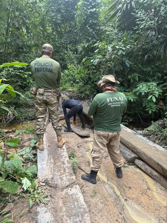 Operação PF - PF, PMRO e IBAMA combatem crimes ambientais em Rondônia