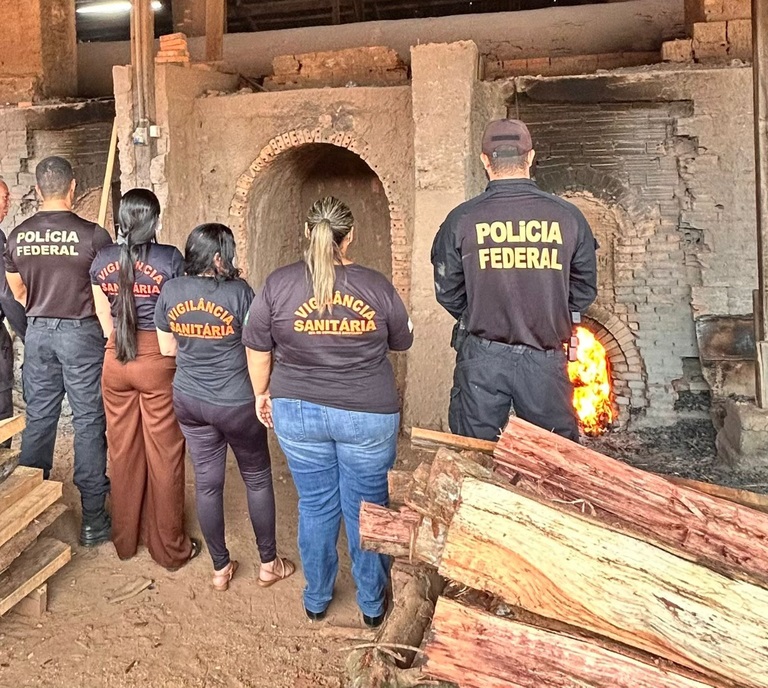 OURO DE BANDIDO - PF realiza incineração de entorpecentes apreendidos em Guajará-Mirim/RO

