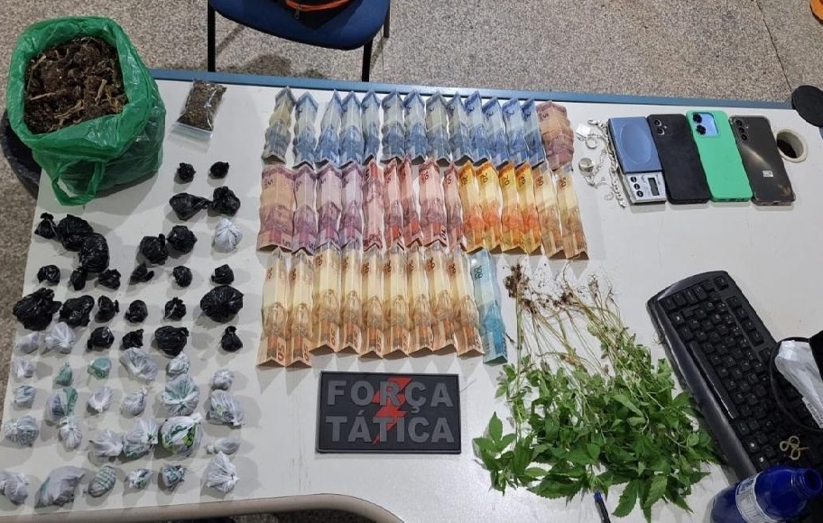 POLÍCIA MILITAR APREENDE DROGAS E PLANTAS DE MACONHA DURANTE AÇÃO POLICIAL