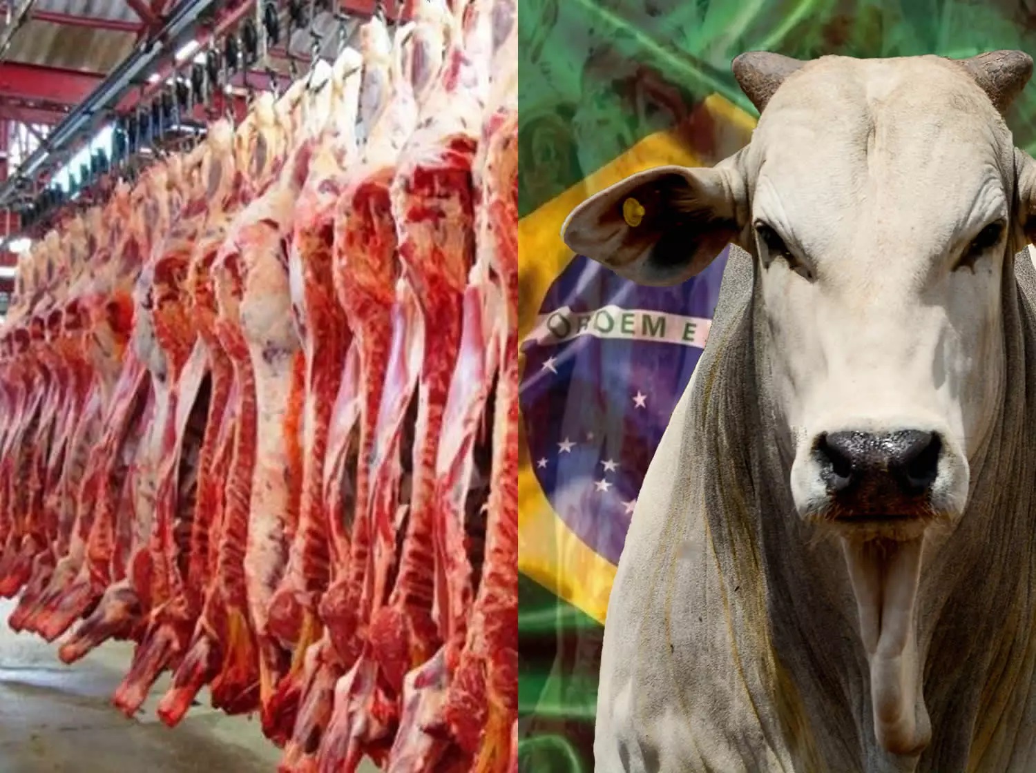 China compra menos carne em 2025, e o Brasil vende carne para o mercado interno sem derrubar o preço