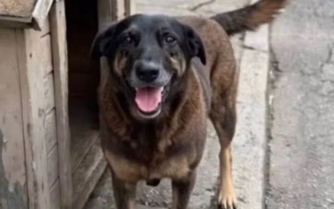 Mil horas de imagens levaram a polícia aos suspeitos