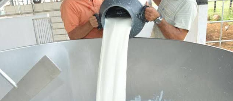 Cláudia de Jesus propõe estado de calamidade pública para enfrentar crise do leite em Rondônia