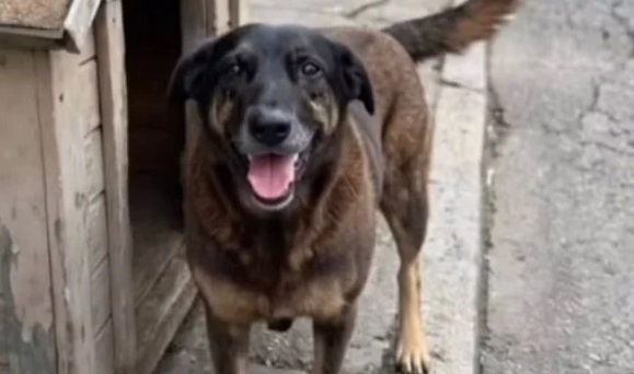 Adolescentes voltam dos EUA e têm celulares apreendidos