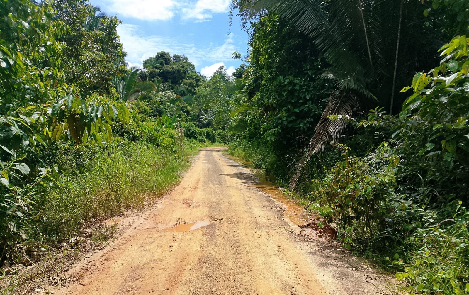 Após vistoria técnica, Prefeitura vai iniciar reparos no Ramal do Índio