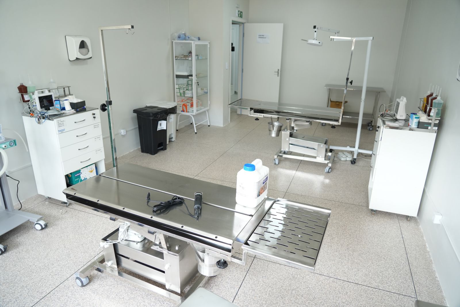 Clínica Animal tem horários especiais no Carnaval