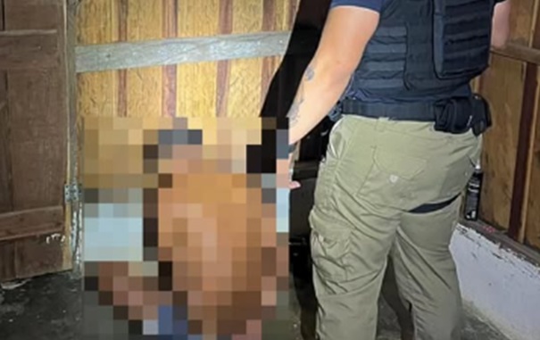 LADRÃO DE ARIQUEMES - Polícia Civil de Rondônia prende foragido da Justiça em Candeias do Jamari
