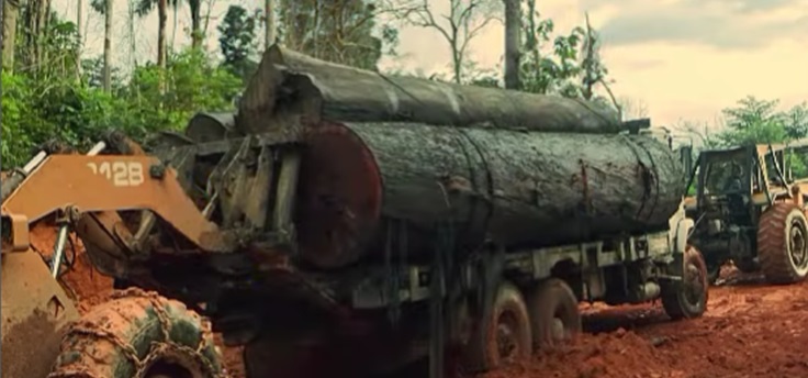 BPA intensifica combate à exploração ilegal de madeira na Resex Angelim, em Rondônia