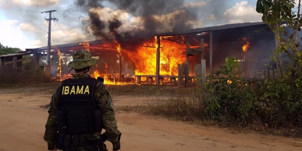 Artigo do jornalista Sérgio Pires denuncia ações do governo contra pequenos produtores em Rondônia