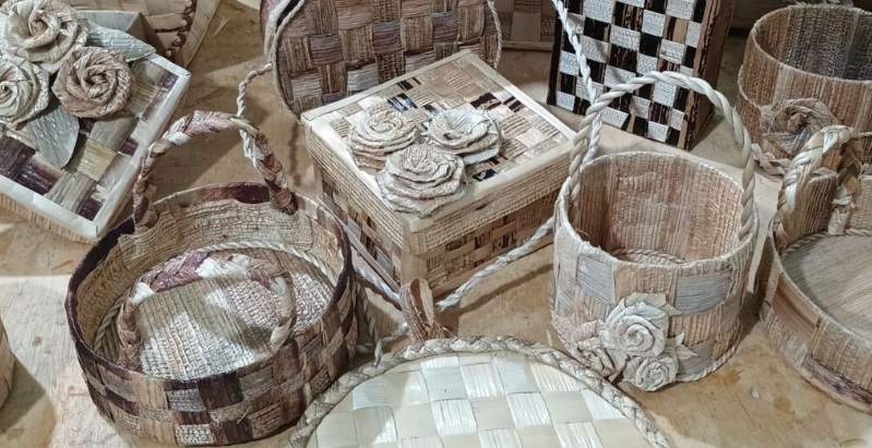 Fibra da bananeira é utilizada como ferramenta cultural e fonte de renda em Porto Velho