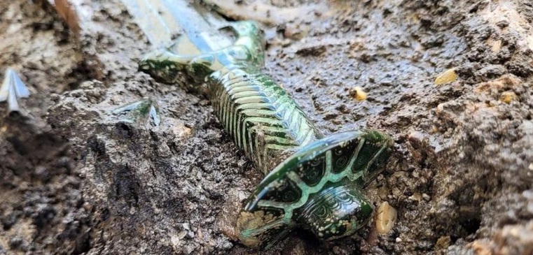 Espada de bronze com cerca de 3.400 anos é encontrada na Alemanha