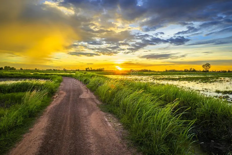 Porto Velho: clima instável e pancadas de chuva