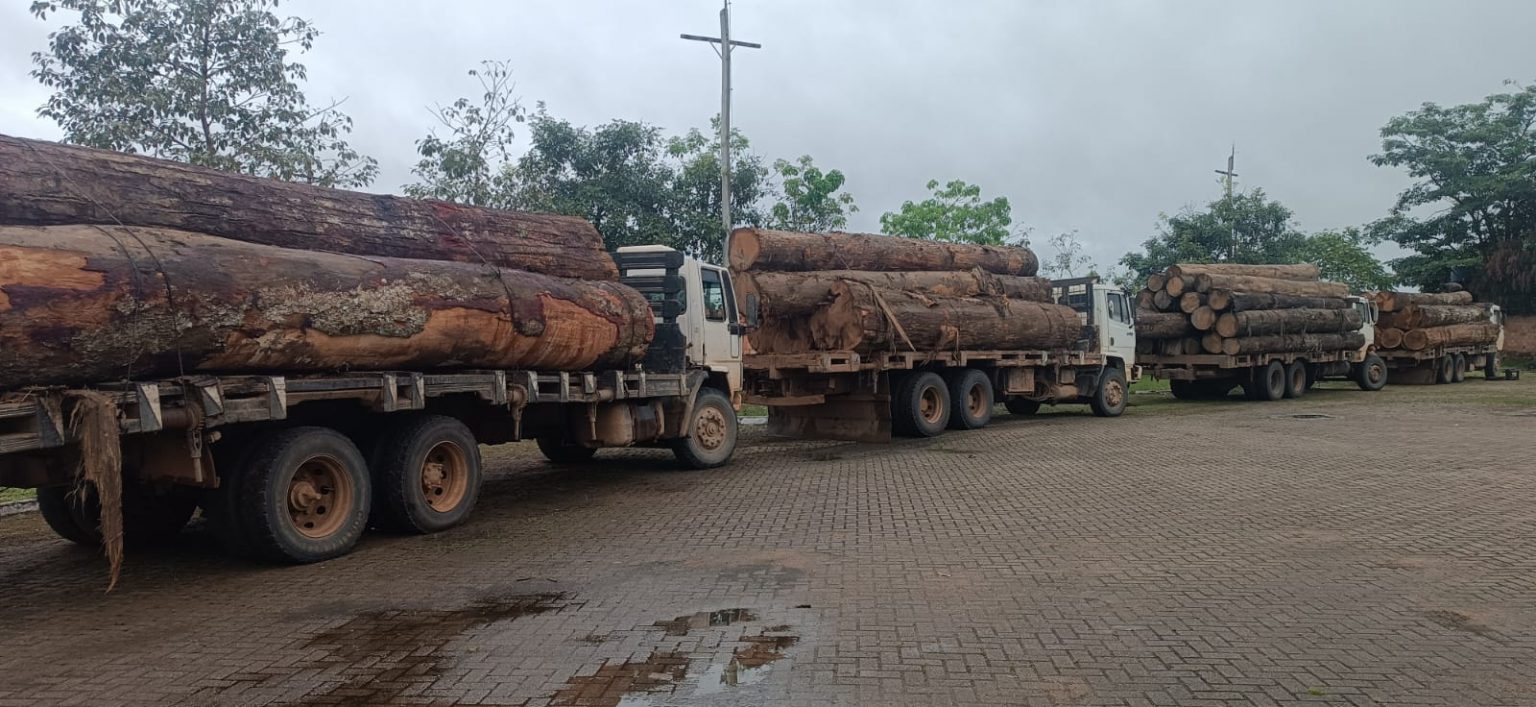 Forças de segurança apreendem 4 caminhões e mais de 100 metros cúbicos de madeira ilegal