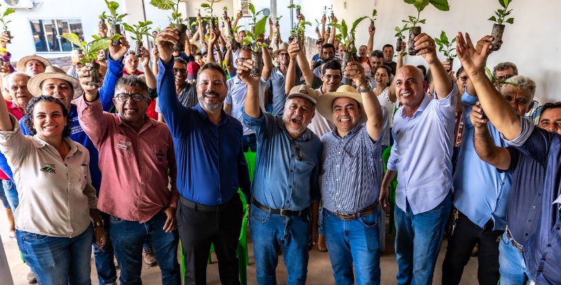 Ismael Crispin destina 160 mil mudas de café para produtores de São Francisco do Guaporé