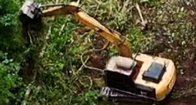 Polícia Militar de Rondônia flagra desmatamento ilegal de 14 hectares durante Operação Hiléia