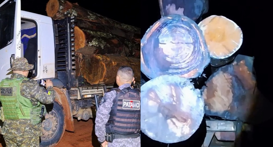 Ação integrada apreende comboio com madeira nativa nas proximidades do Parque Nacional Mapinguari