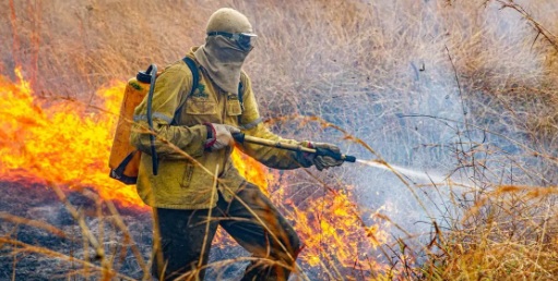 Governo divulga planejamento para enfrentar incêndios em 2026