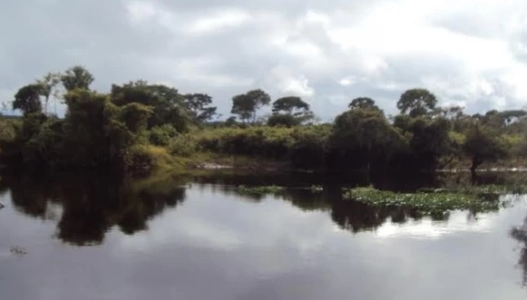 Calor e pancadas de chuva marcam o tempo em Rondônia; Porto Velho segue com clima abafado