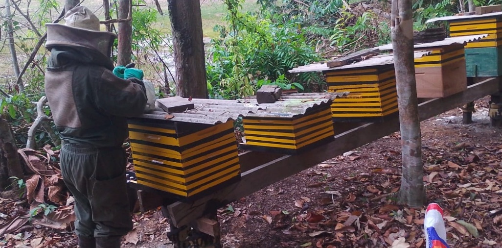 Dia Nacional do Mel reforça apicultura de Porto Velho