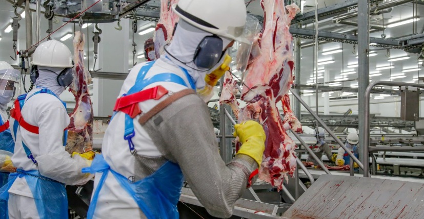 Mais de 2,3 mil vagas de emprego em Rondônia: veja se sua cidade está na lista desta semana