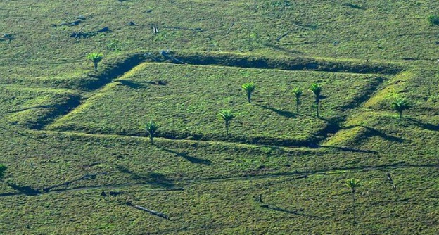 MPF firma acordos para compensar danos a geoglifos amazônicos no Acre