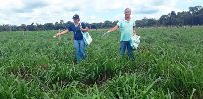 Gestão e tecnologia transformam propriedade de Itapuã do Oeste em referência na pecuária leiteira familiar