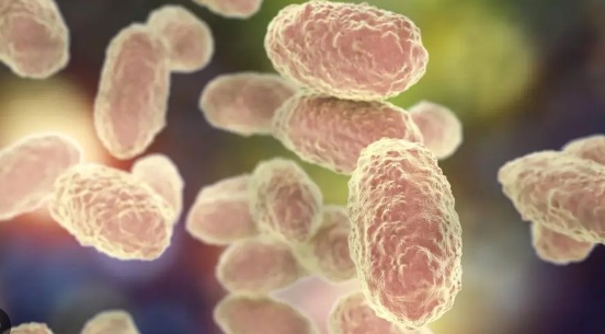 Porto Velho registra primeiro caso de coqueluche em 2026