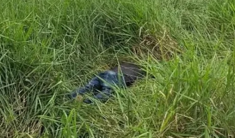 Mistério na zona rural: corpo é encontrado em propriedade isolada em Machadinho do Oeste, interior de RO