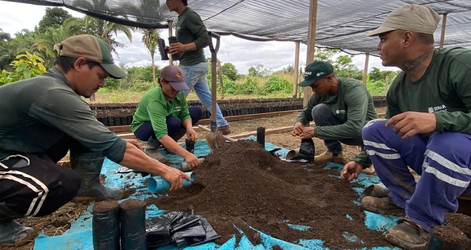 Porto Velho amplia produção de cacau com mudas e tecnologia
